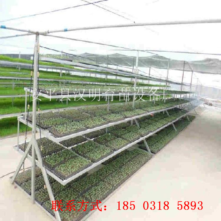 优质大棚移动养花网厂家  多层半自动苗床 价格合理