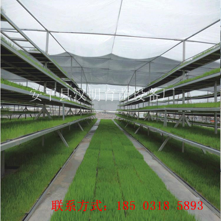 优质大棚移动养花网厂家  多层半自动苗床 价格合理