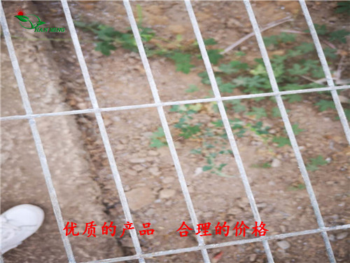 汉明大量生产 温室苗床网 养花育苗网 品质可靠  温室苗床网 厂  温室苗床网 厂家  温室苗床网 哪家好