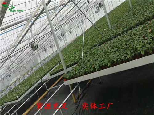 什么是物流式苗床？汉明全自动苗床物流系统介绍  物流式苗床厂家  全自动物流式苗床