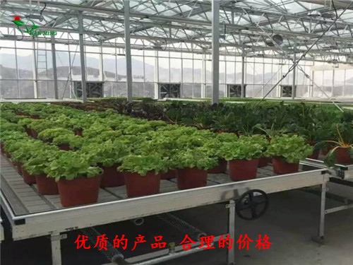 ABS潮汐苗盘材质 宿迁潮汐灌溉式苗床的使用好处  潮汐苗盘厂