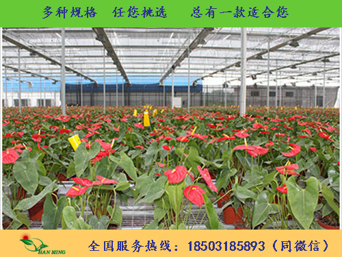 钢丝苗床网 育苗养花焊接网 最具实力生产厂家  钢丝苗床网厂家  钢丝苗床网生产  钢丝焊接苗床网