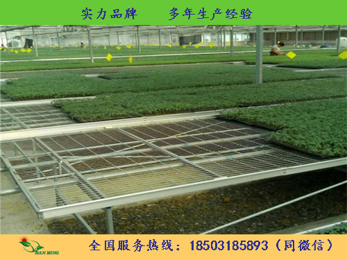 安徽优质温室苗床网生产基地