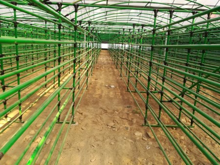 钦州菇房出菇架-食用菌架-蘑菇网架-新型材料环保耐用