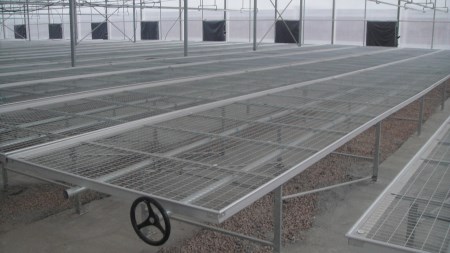 西双版纳蓝莓移动苗床-蓝莓育苗床-保质保量-价格实惠  育苗移动苗床