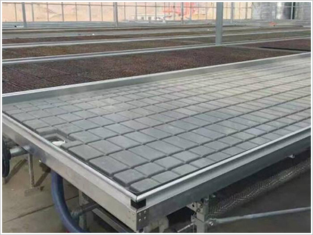 临汾潮汐苗床-新型潮汐灌溉式苗床-提高育苗成活率  潮汐式移动苗床