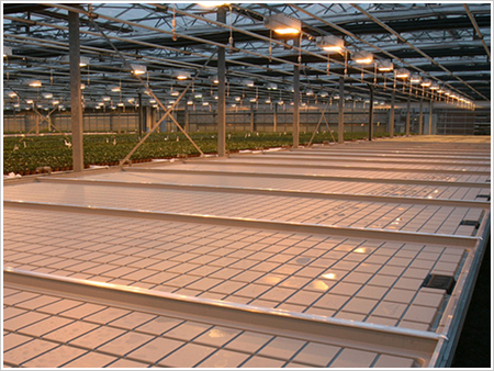 临汾潮汐苗床-新型潮汐灌溉式苗床-提高育苗成活率  潮汐式移动苗床