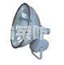 WZT6900(1000W)防水防尘防震投光灯