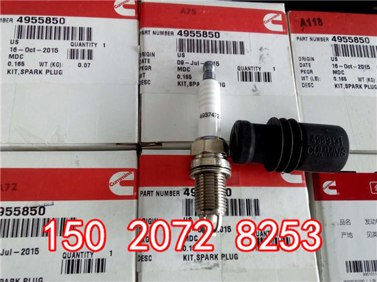 进口火花塞4955850QSB/ISB美国康明斯