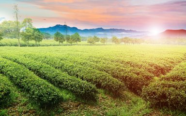 广州进口普货需要提供什么资料  进出口代理