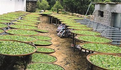 广州进口普货需要提供什么资料  进出口代理