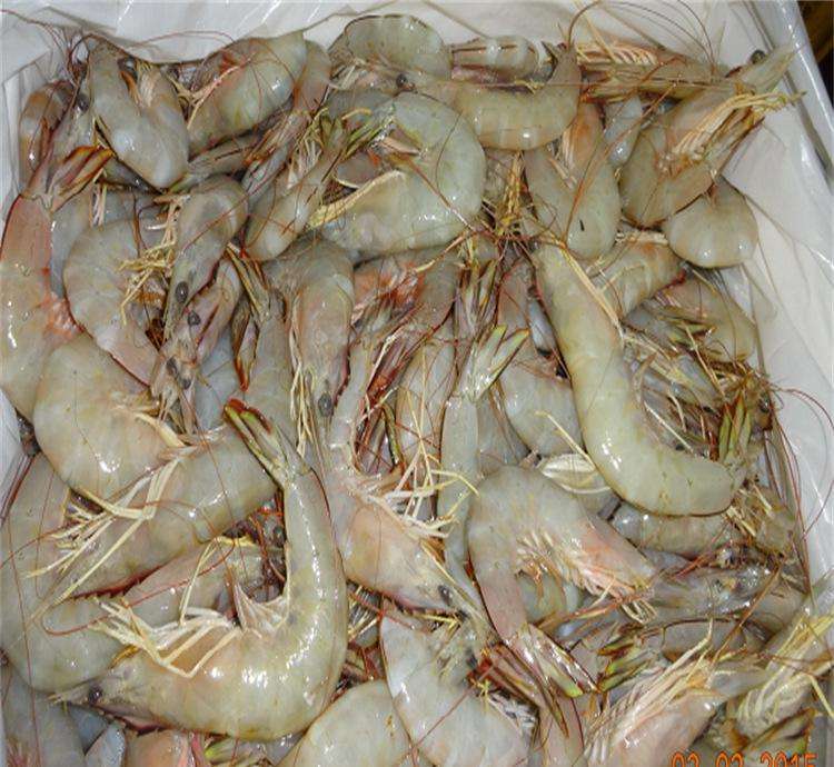 海鲜进口代理报关公司  进出口代理  报关报检