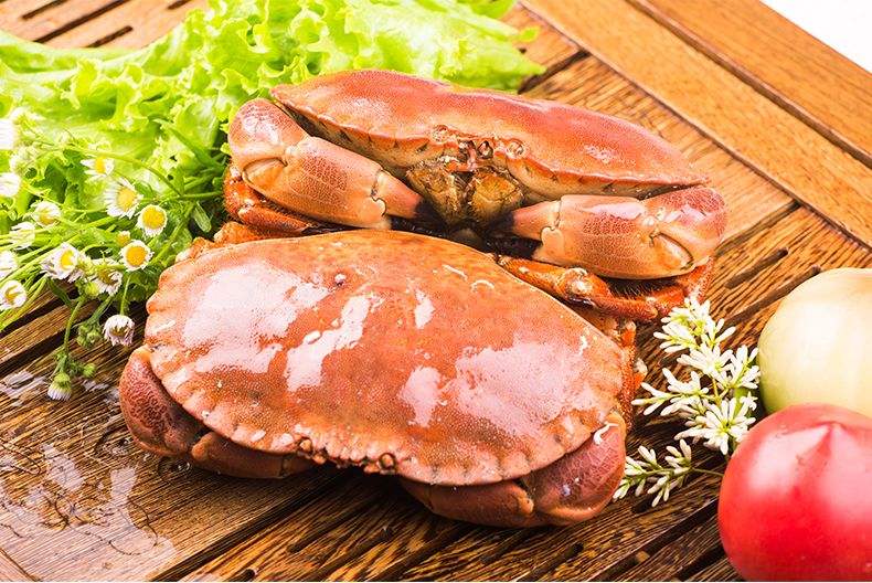 广州海鲜进口代理清关服务公司 进口海鲜 进出口代理 报关报检