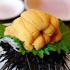 广州海鲜进口代理清关服务公司 进口海鲜 进出口代理 报关报检