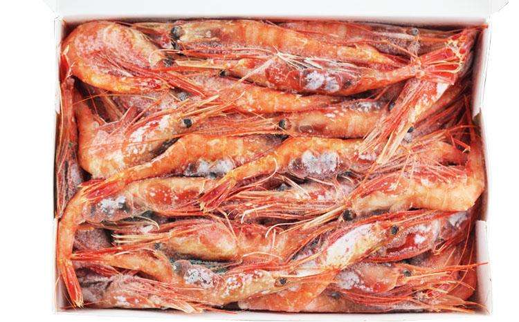 进口澳大利亚海鲜代理报关公司  进口海鲜  进出口代理