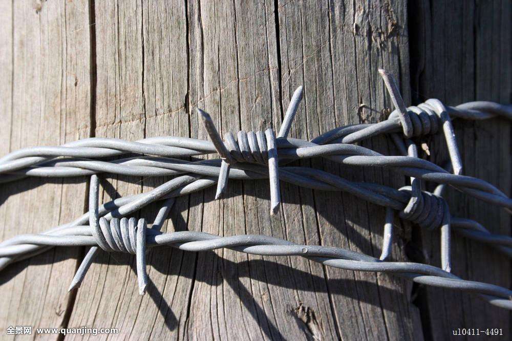 厂家直销BTO-18不锈钢430刺丝滚笼  不锈钢刺丝滚笼