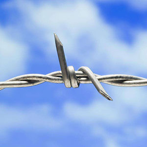 厂家直销BTO-18不锈钢430刺丝滚笼  不锈钢刺丝滚笼