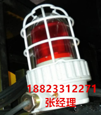 壹赛联防爆声光报警器 防爆车辆专用&nbsp;&nbsp;防爆器材