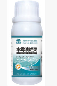 水霉溃烂灵针对鱼水霉、鳃霉、长白毛  水霉鳃霉  长白毛溃烂