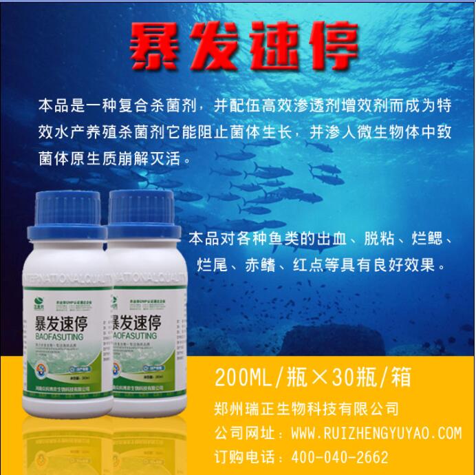 鱼类出血病就用正康元暴发速停