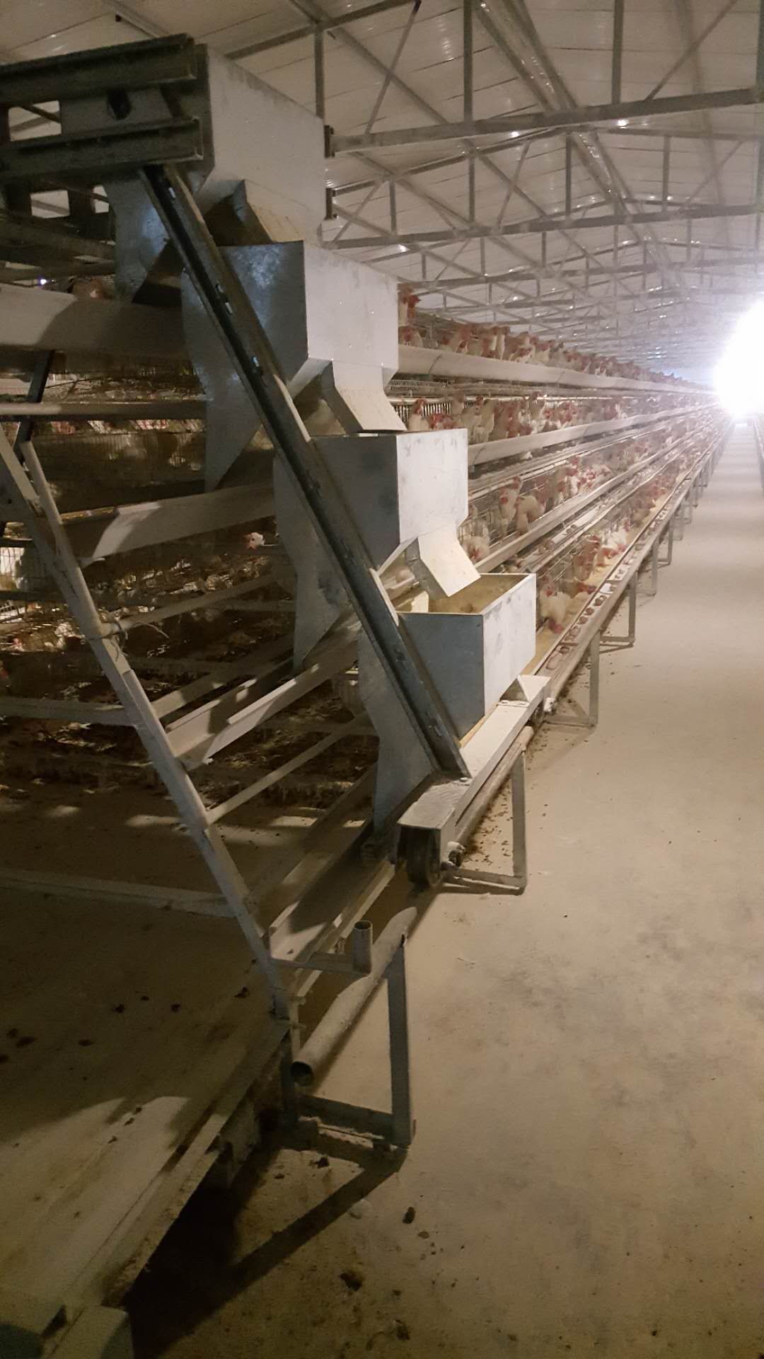 嘉鱼A型蛋鸡笼厂家直销