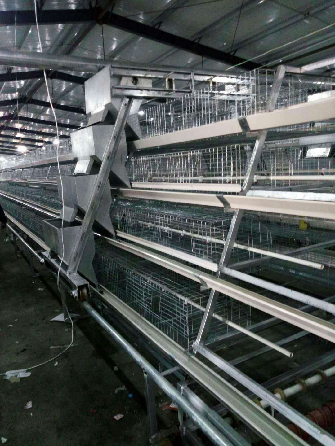 太原蛋鸡笼哪家好  养鸡设备