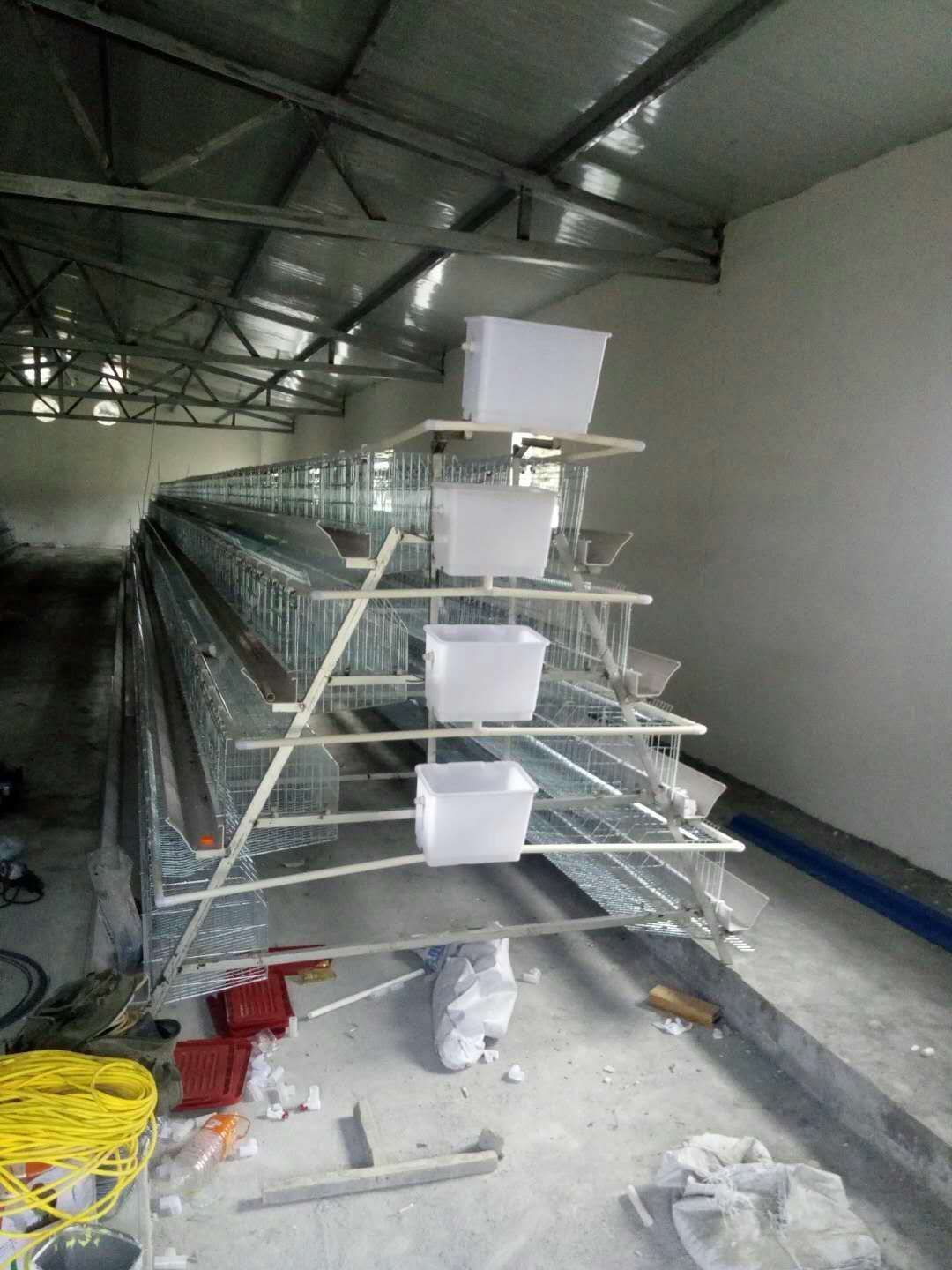 深圳蛋鸡笼自动化养殖设备