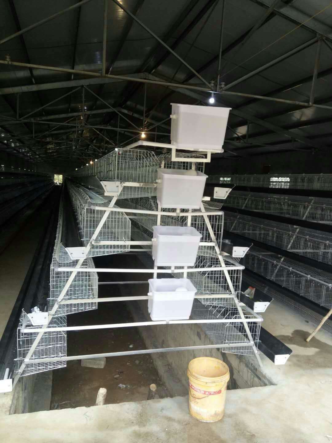 萨尔图阶梯蛋鸡笼耐用
