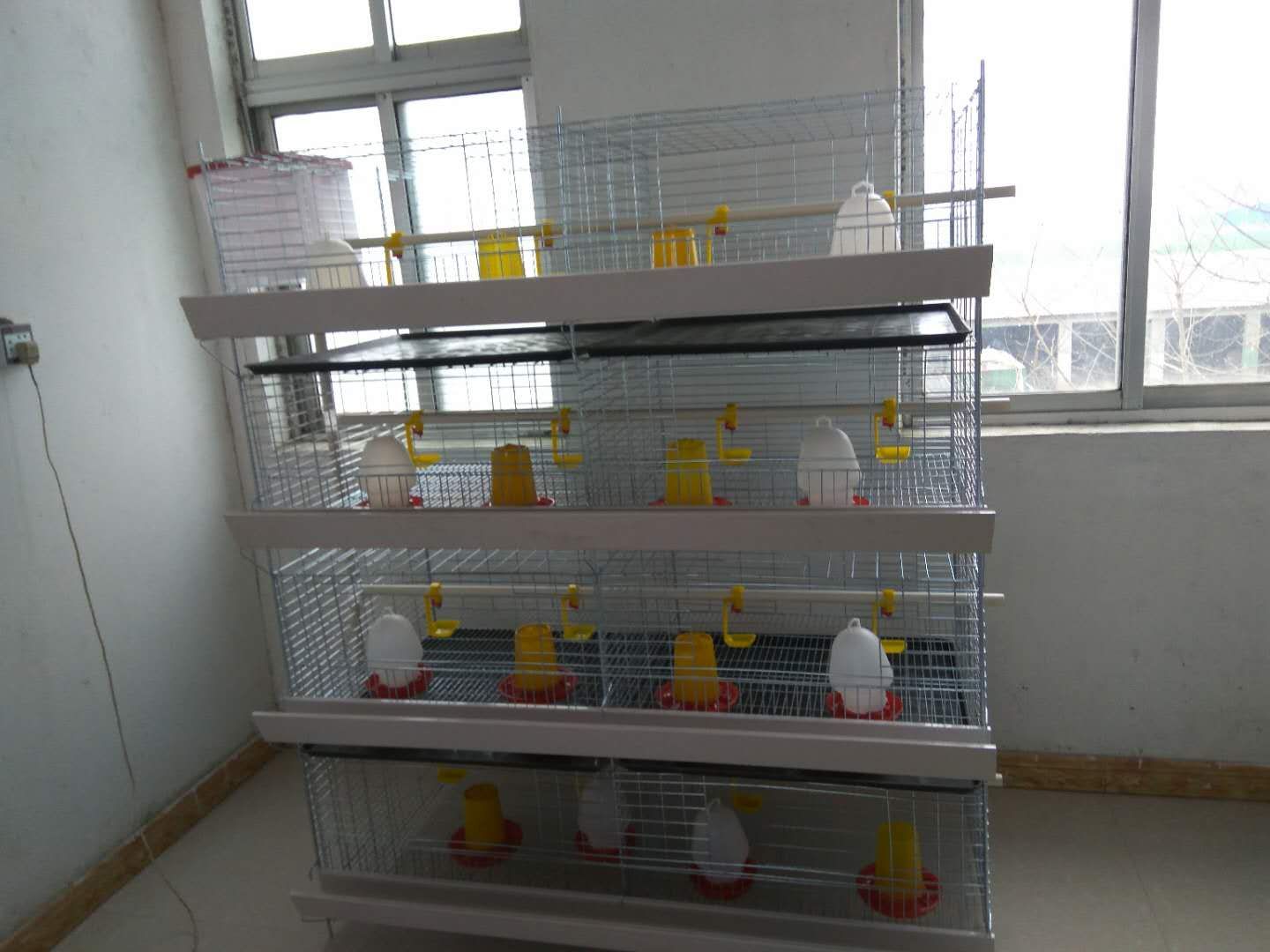 怀化阶梯式蛋鸡笼价格实惠  育雏笼