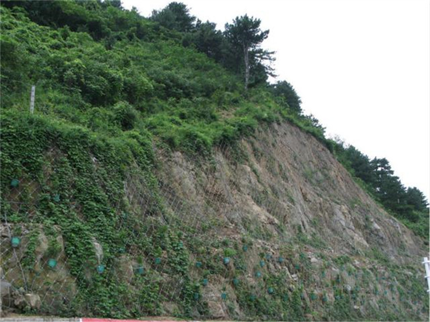 高速公路边坡绿化施工 边坡专用草籽昭通供应  高边坡绿化  固土护坡植草