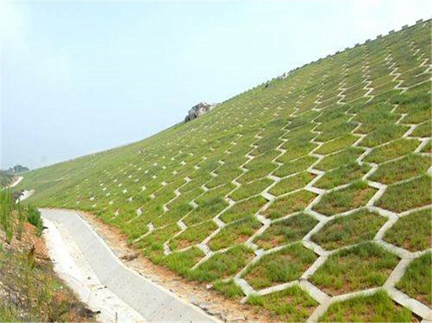 云南省昭通市公路护坡专用防护资材草籽厂家批发  边坡防护植草  生态修复植草队伍  稳固边坡施工
