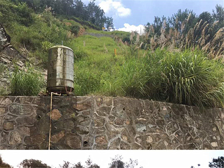 昭通市护坡专用草籽资材供应商厂家低价售出  复绿植草  生态护坡  边坡专用资材