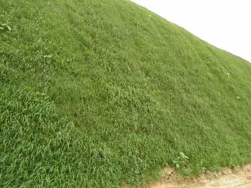 昆明市寻甸县绿化资材厂家专卖固土护坡支护材料  边坡防护资材供应  稳固边坡防护资材  生态修复植草队伍