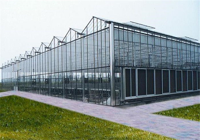 智能玻璃温室，江西玻璃温室价格&nbsp;&nbsp;智能温室大棚&nbsp;&nbsp;温室大棚建设
