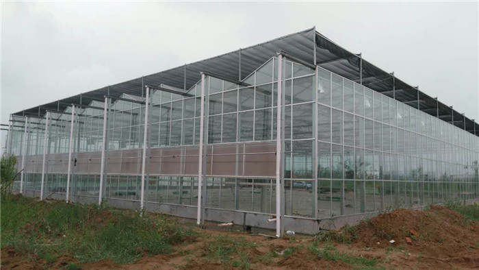 甘肃玻璃大棚，玻璃温室大棚价格&nbsp;&nbsp;玻璃大棚建设&nbsp;&nbsp;玻璃温室价格