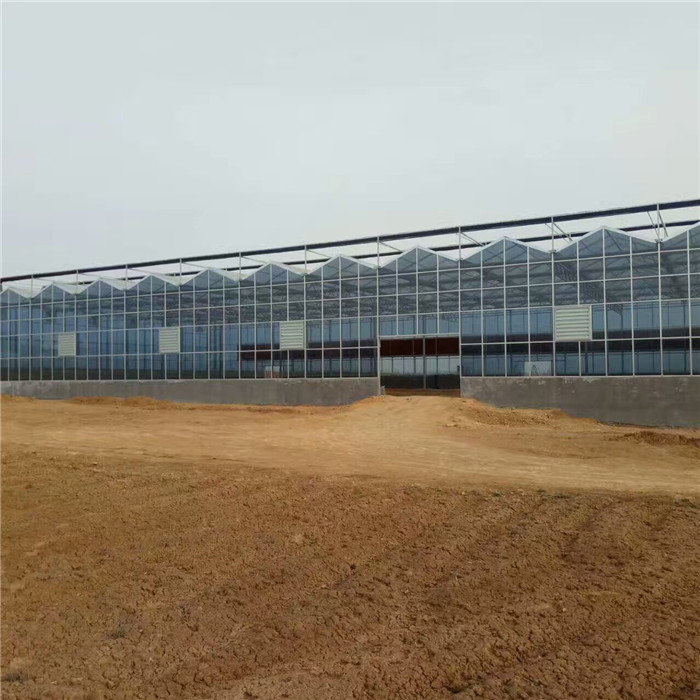 甘肃玻璃大棚，玻璃温室大棚价格&nbsp;&nbsp;玻璃大棚建设&nbsp;&nbsp;玻璃温室价格