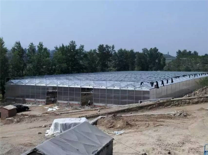 阳光板大棚，阳光板温室价格&nbsp;&nbsp;pc板温室价格&nbsp;&nbsp;阳光板温室建设