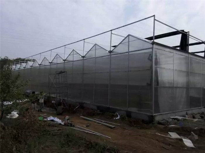 阳光板大棚，阳光板温室价格&nbsp;&nbsp;pc板温室价格&nbsp;&nbsp;阳光板温室建设