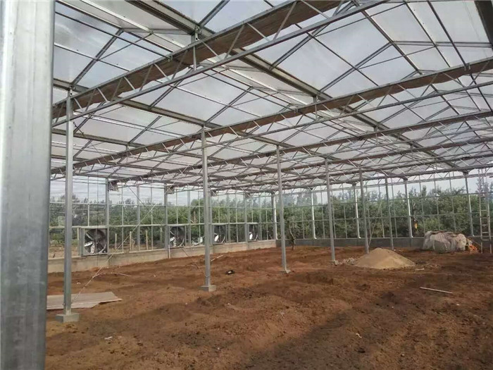阳光板大棚，阳光板温室价格&nbsp;&nbsp;pc板温室价格&nbsp;&nbsp;阳光板温室建设