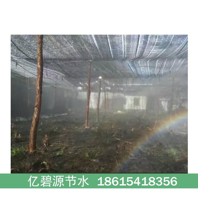 雅安大棚羊肚菌微喷系统设计安装图  雅安羊肚菌微喷