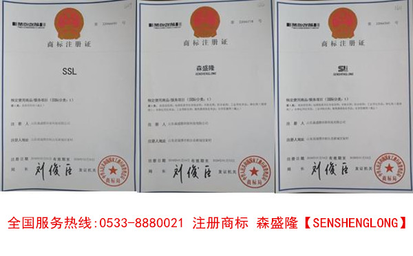 反渗透阻垢剂品牌SSL森盛隆加药量低效果好