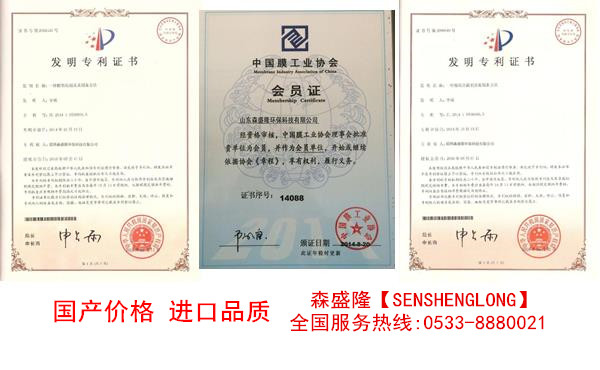 酸式反渗透阻垢剂SS810