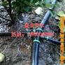 贵阳大棚微喷带离心网式过滤器参数