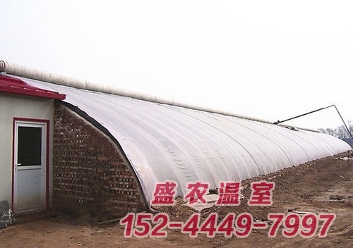 砖墙蔬菜大棚建设厂家