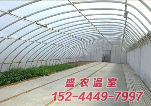 日光温室拱棚建设厂家