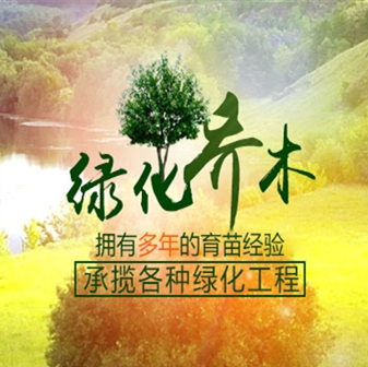 博野县金泽苗圃场