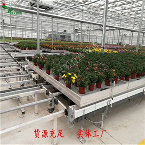 一种新型导轨式移动苗床-物流式苗床设计方案  物流式苗床厂家