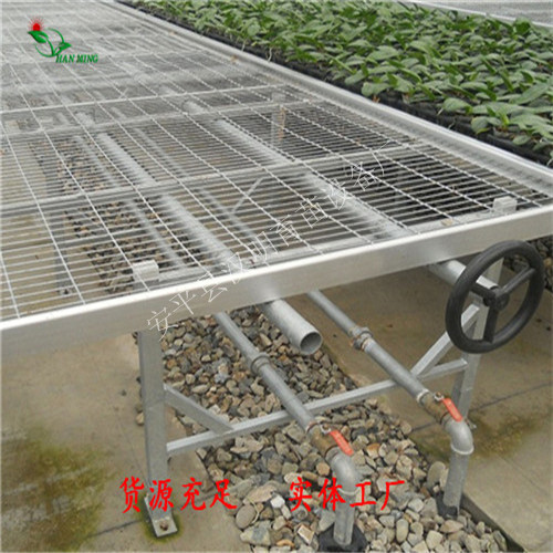 温室大棚苗床系统-江苏哪里有做的？  温室大棚苗床厂家  江苏温室大棚苗床