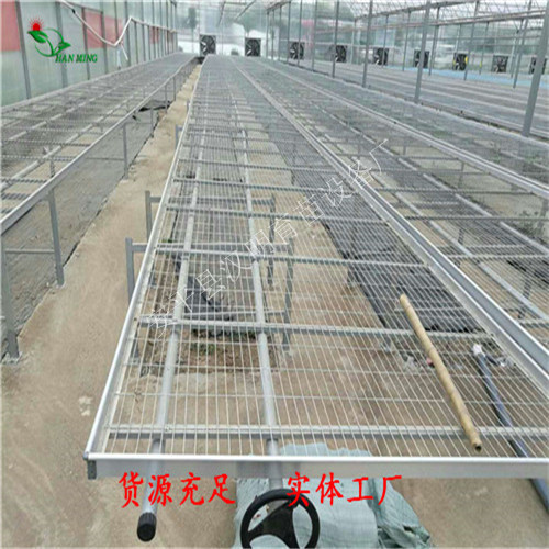 桐乡半自动苗床/温室移动苗床价格行情  温室移动苗床供应
