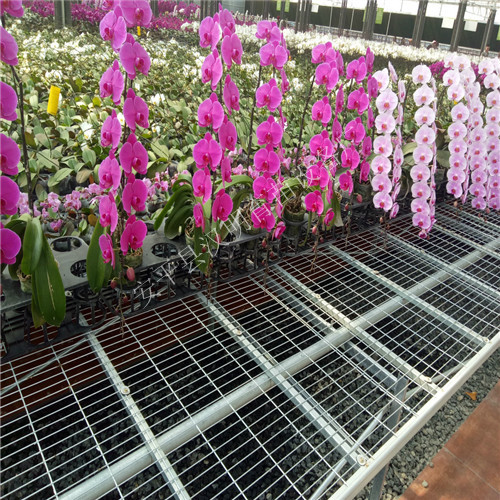精品花卉移动苗床网-苗床网制造商-工厂化苗床  苗床网工厂